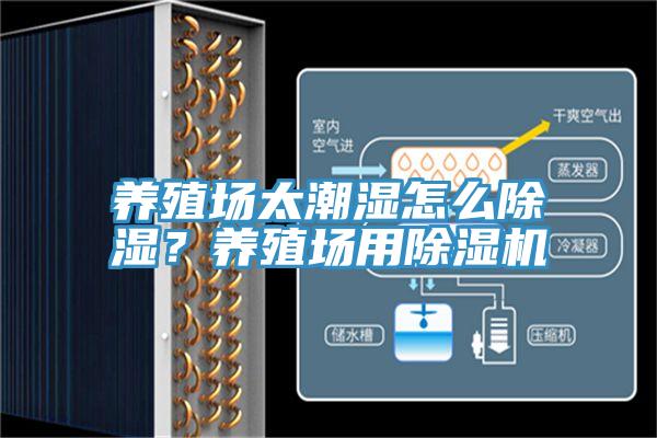 養殖場太潮濕怎么除濕？養殖場用除濕機
