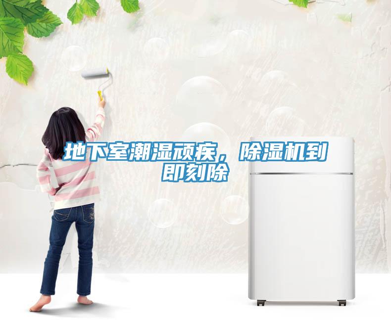 地下室潮濕頑疾，除濕機到即刻除