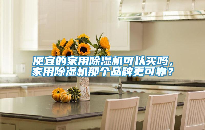 便宜的家用除濕機可以買嗎，家用除濕機那個品牌更可靠？