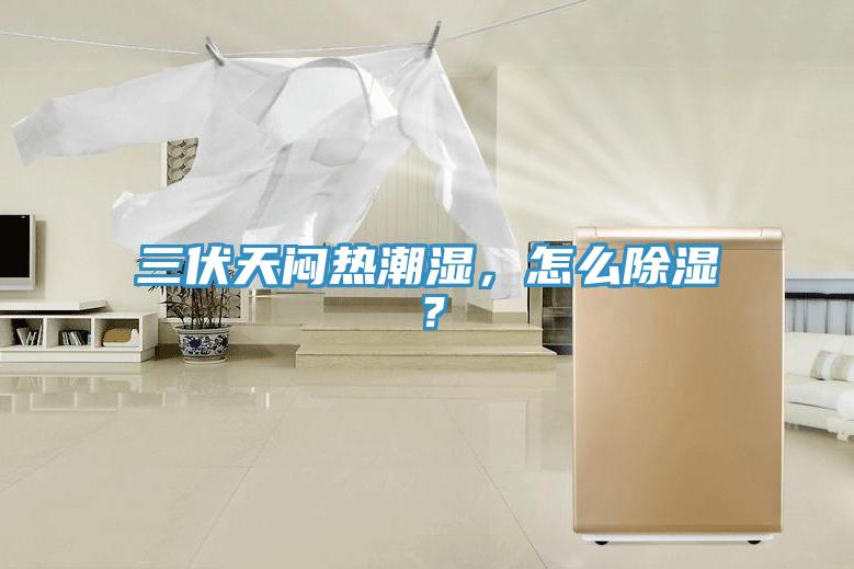 三伏天悶熱潮濕，怎么除濕？