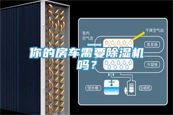 你的房車需要除濕機嗎？