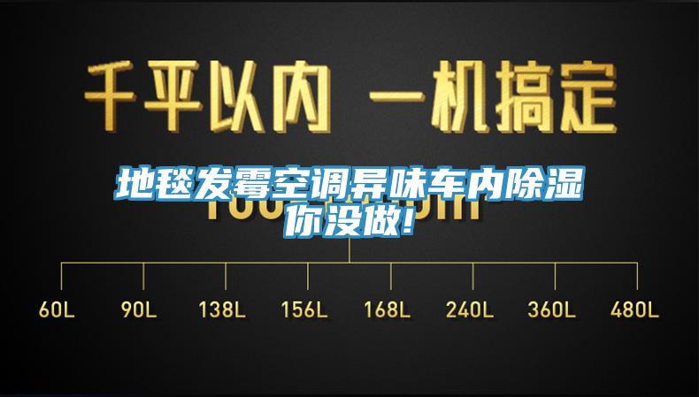 地毯發霉空調異味車內除濕你沒做!