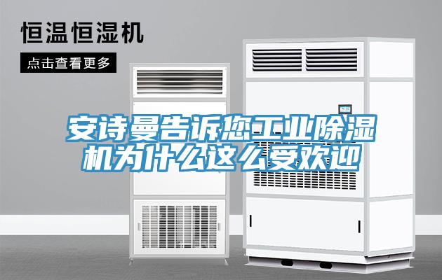 安詩曼告訴您工業除濕機為什么這么受歡迎