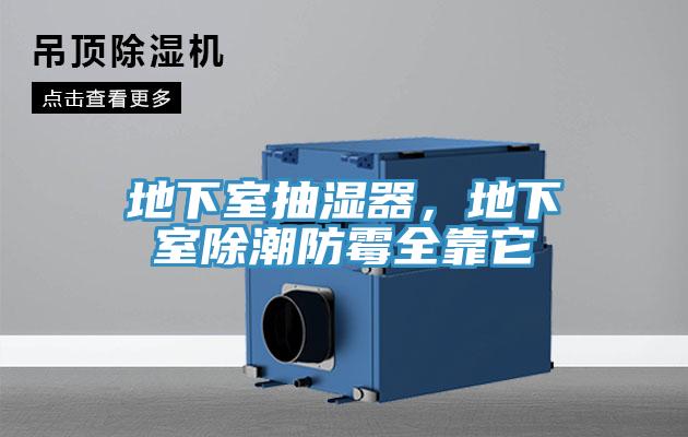 地下室抽濕器，地下室除潮防霉全靠它
