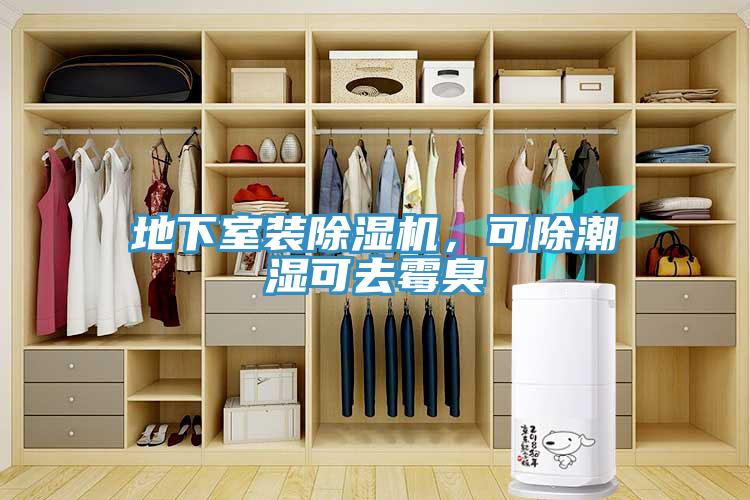 地下室裝除濕機，可除潮濕可去霉臭