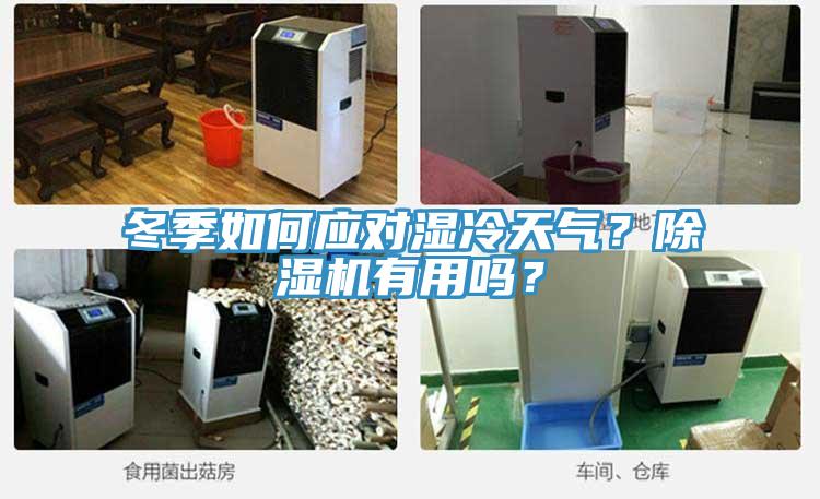 冬季如何應對濕冷天氣？除濕機有用嗎？