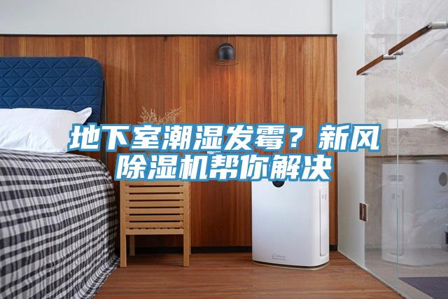 地下室潮濕發霉？新風除濕機幫你解決