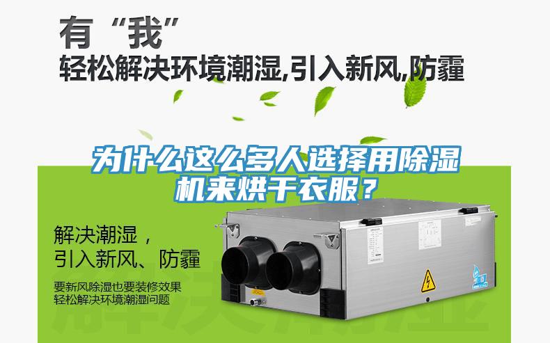 為什么這么多人選擇用除濕機來烘干衣服？