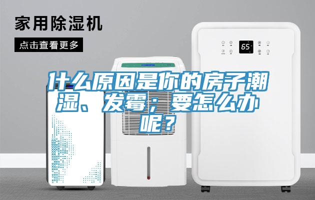 什么原因是你的房子潮濕、發霉；要怎么辦呢？
