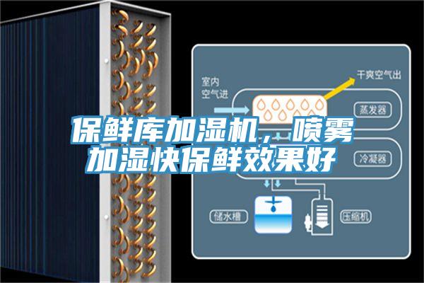 保鮮庫加濕機，噴霧加濕快保鮮效果好