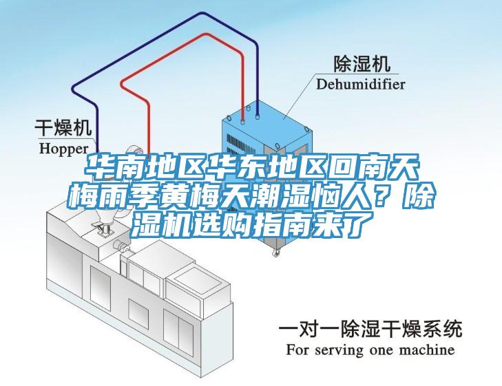 華南地區華東地區回南天梅雨季黃梅天潮濕惱人？除濕機選購指南來了