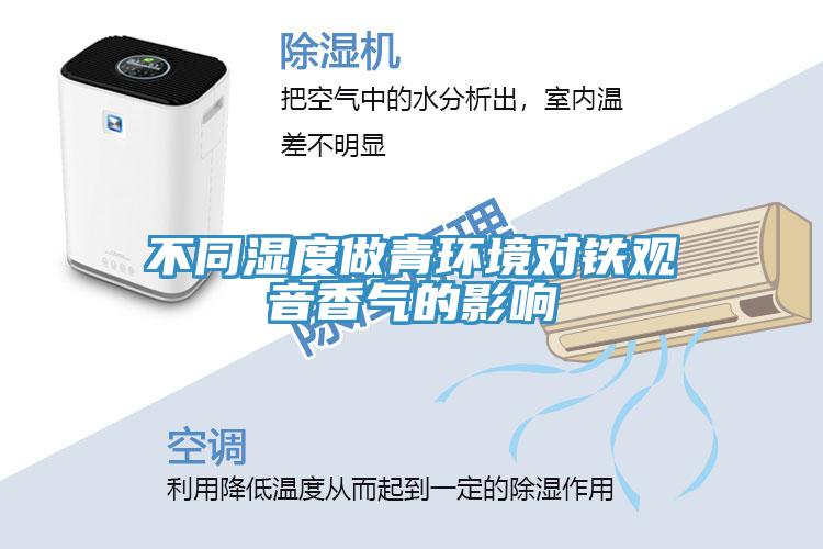不同濕度做青環境對鐵觀音香氣的影響