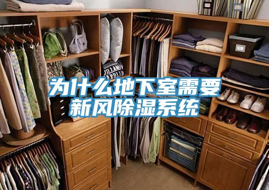 為什么地下室需要新風除濕系統