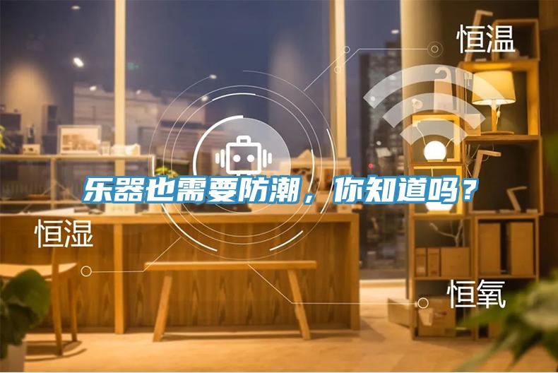 樂器也需要防潮，你知道嗎？