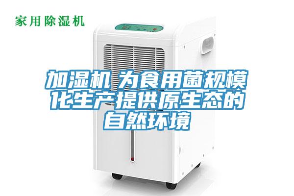 加濕機　為食用菌規?；a提供原生態的自然環境
