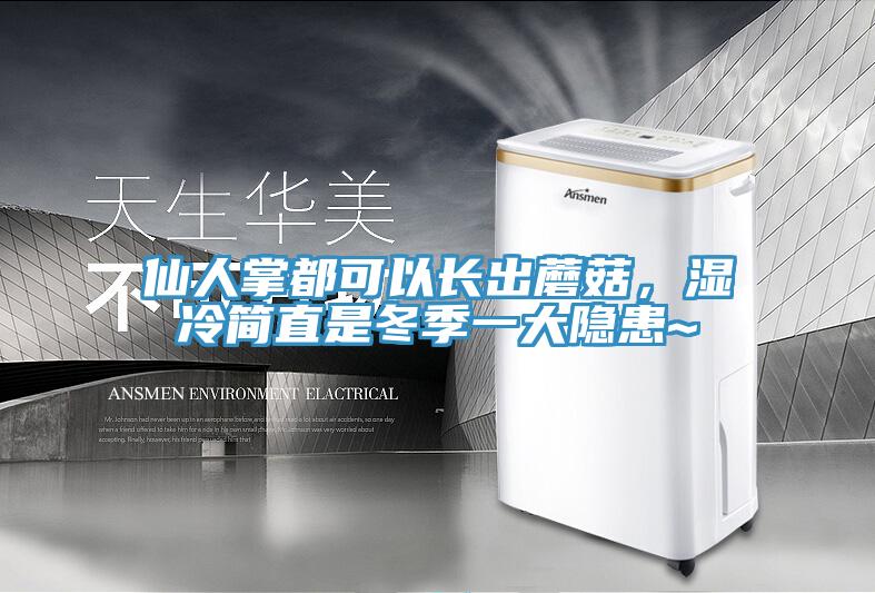 仙人掌都可以長出蘑菇，濕冷簡直是冬季一大隱患~