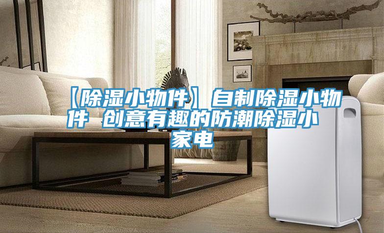 【除濕小物件】自制除濕小物件 創意有趣的防潮除濕小家電