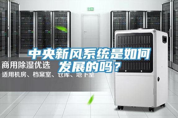 中央新風系統是如何發展的嗎？