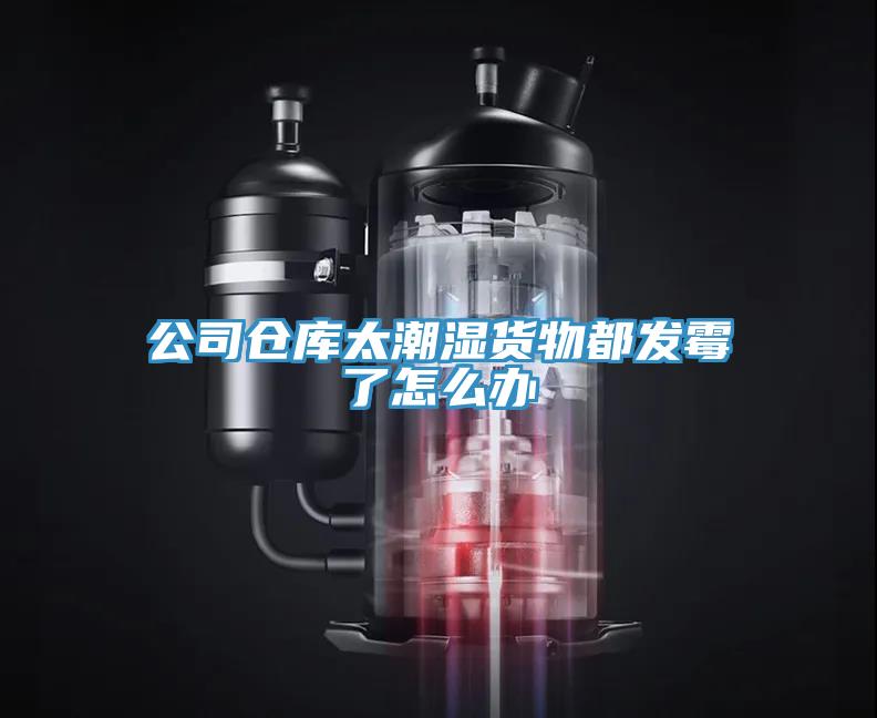 公司倉庫太潮濕貨物都發霉了怎么辦