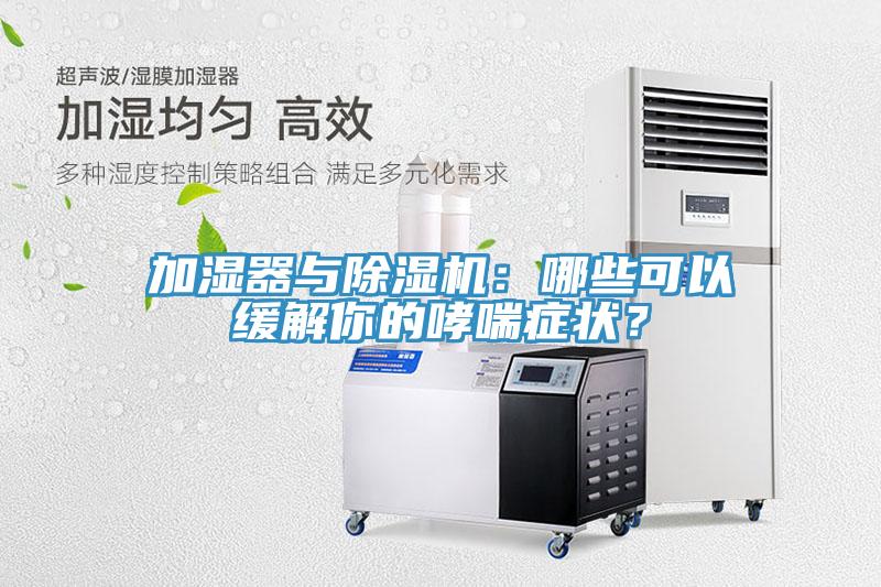 加濕器與除濕機：哪些可以緩解你的哮喘癥狀？
