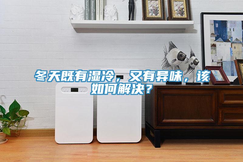 冬天既有濕冷，又有異味，該如何解決？