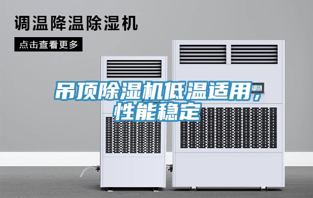 吊頂除濕機低溫適用，性能穩定