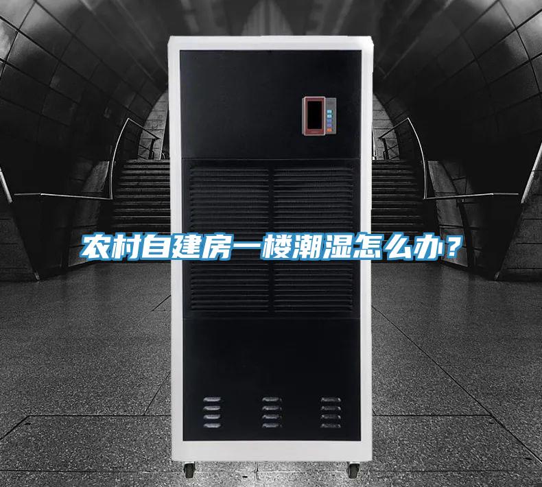 農村自建房一樓潮濕怎么辦？