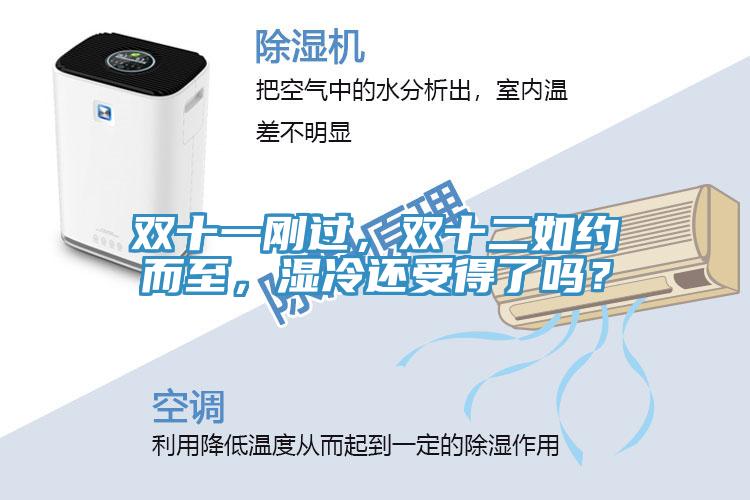 雙十一剛過，雙十二如約而至，濕冷還受得了嗎？