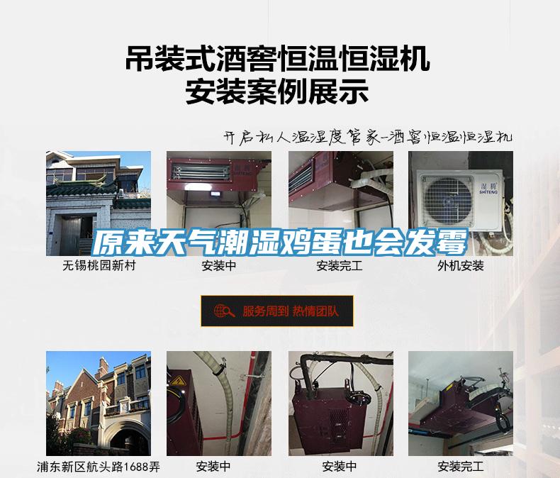 原來天氣潮濕雞蛋也會發霉