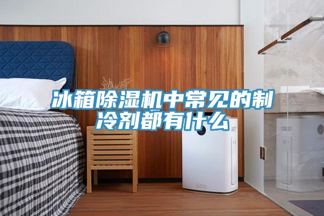 冰箱除濕機中常見的制冷劑都有什么