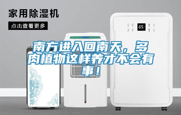 南方進入回南天，多肉植物這樣養才不會有事！