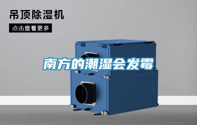 南方的潮濕會發霉