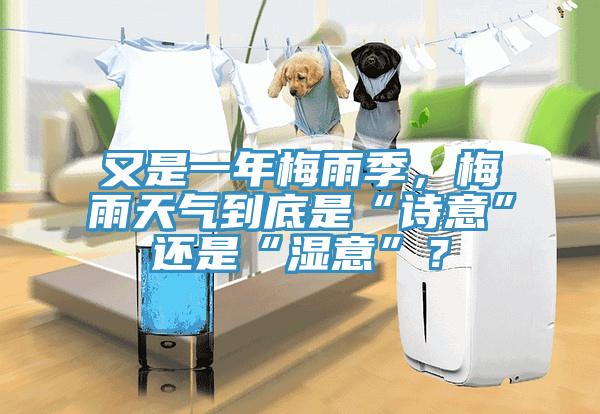 又是一年梅雨季，梅雨天氣到底是“詩意”還是“濕意”？