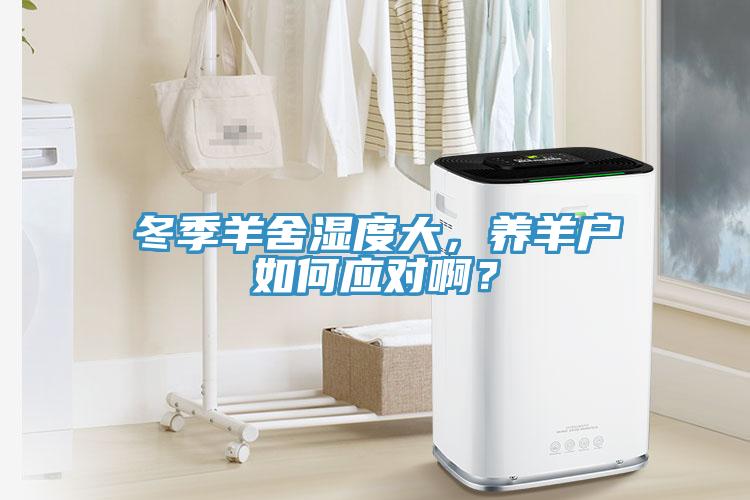 冬季羊舍濕度大，養羊戶如何應對??？