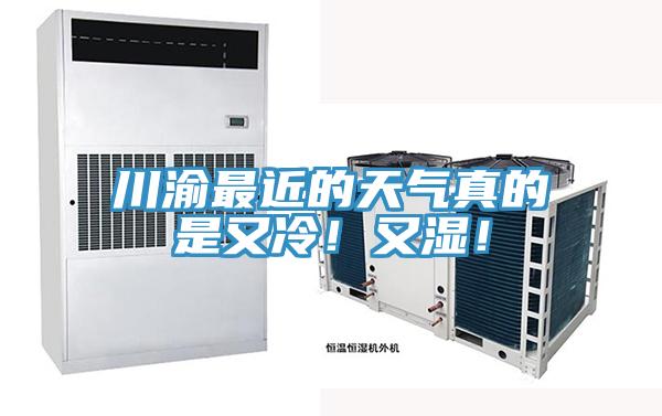 川渝最近的天氣真的是又冷！又濕！