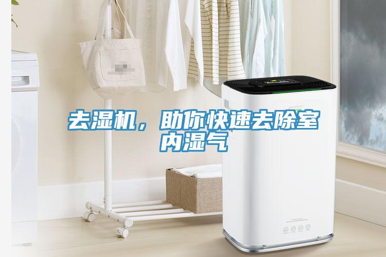 去濕機，助你快速去除室內濕氣