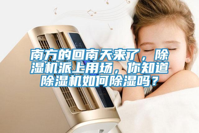 南方的回南天來了，除濕機派上用場，你知道除濕機如何除濕嗎？