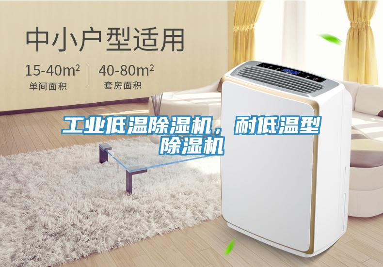 工業低溫除濕機，耐低溫型除濕機