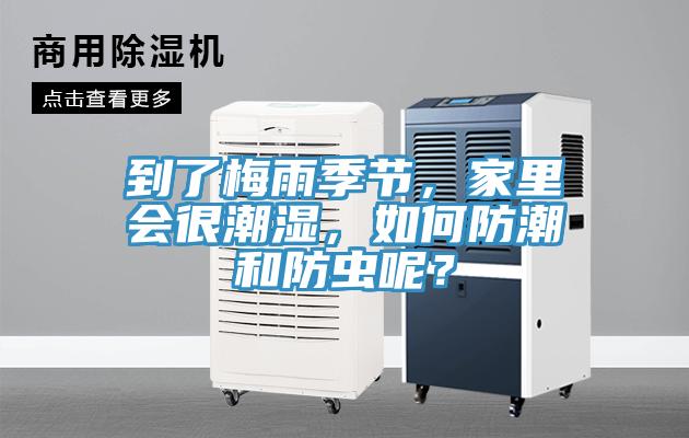 到了梅雨季節，家里會很潮濕，如何防潮和防蟲呢？