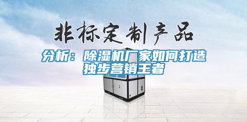 分析：除濕機廠家如何打造獨步營銷王者