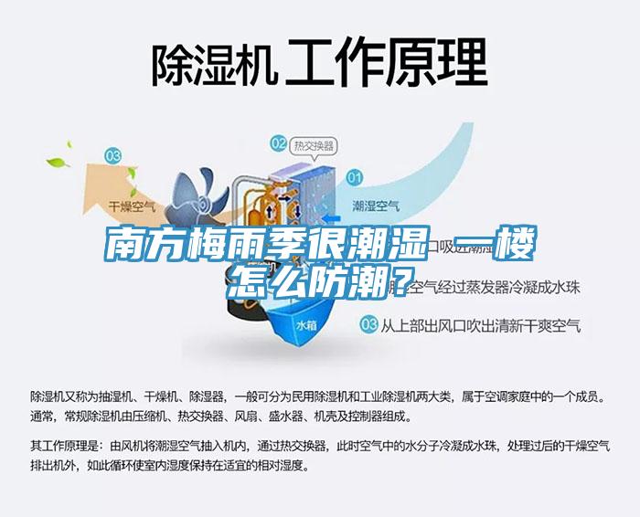 南方梅雨季很潮濕 一樓怎么防潮？