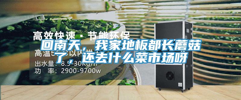 回南天，我家地板都長蘑菇了，還去什么菜市場呀