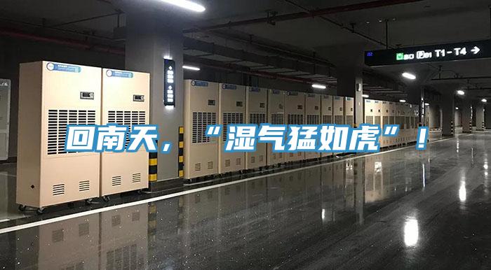 回南天，“濕氣猛如虎”！