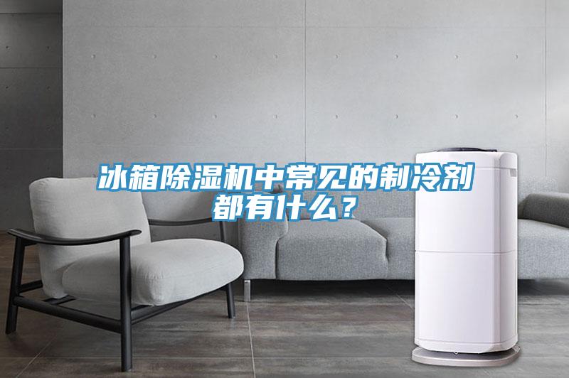 冰箱除濕機中常見的制冷劑都有什么？
