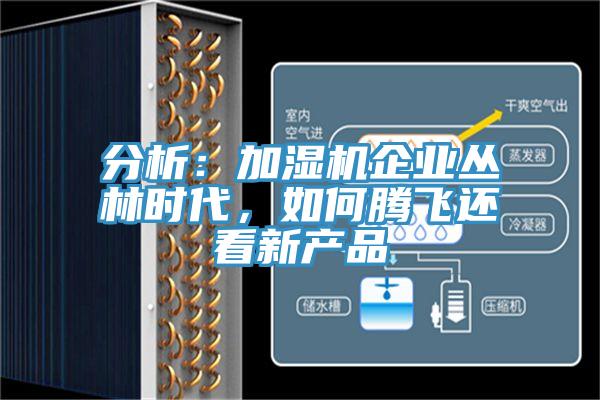 分析：加濕機企業叢林時代，如何騰飛還看新產品