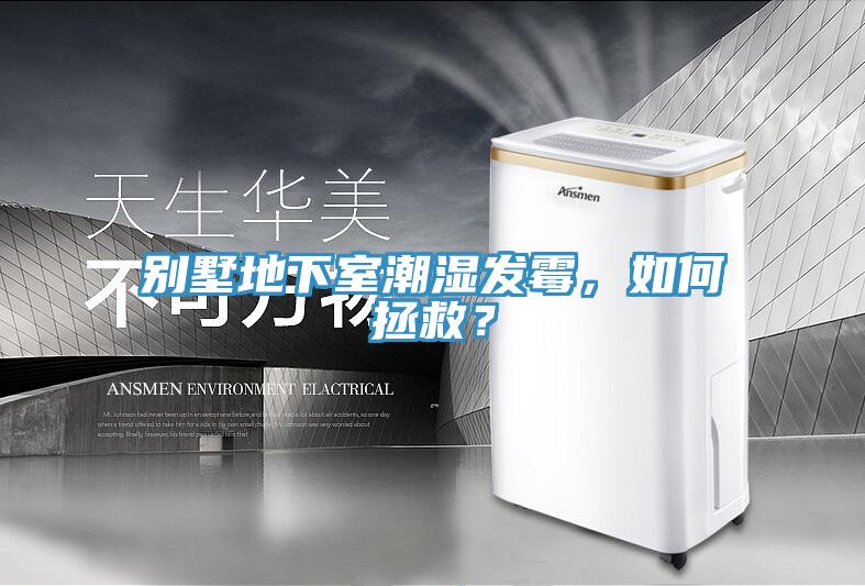 別墅地下室潮濕發霉，如何拯救？