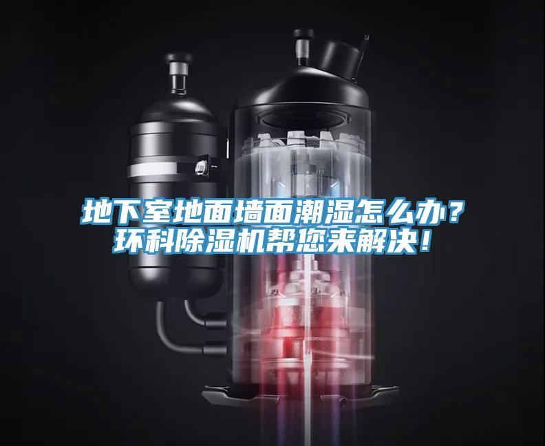 地下室地面墻面潮濕怎么辦？環科除濕機幫您來解決！