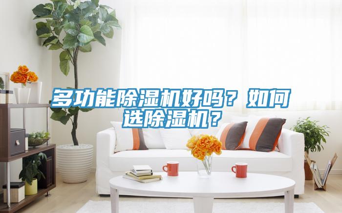 多功能除濕機好嗎？如何選除濕機？