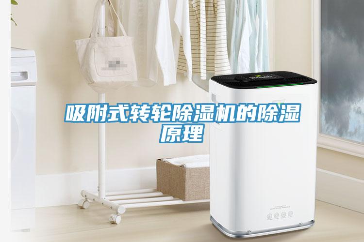 吸附式轉輪除濕機的除濕原理