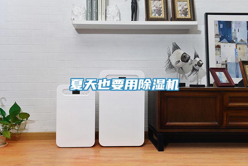 夏天也要用除濕機